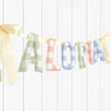 Personalised | HANDMADE BUNTING [MIXED GINGHAM]